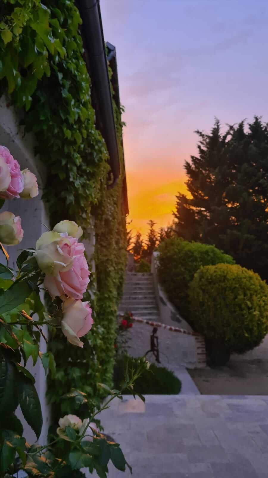 Domaine De La Blonnerie Bed and Breakfast Feings  Εξωτερικό φωτογραφία